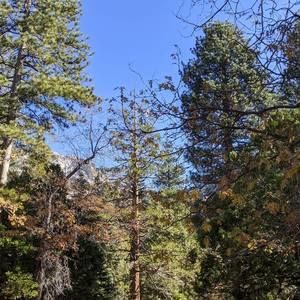 Meet your Posher, Kaleb